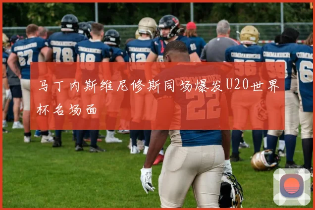 马丁内斯维尼修斯同场爆发U20世界杯名场面
