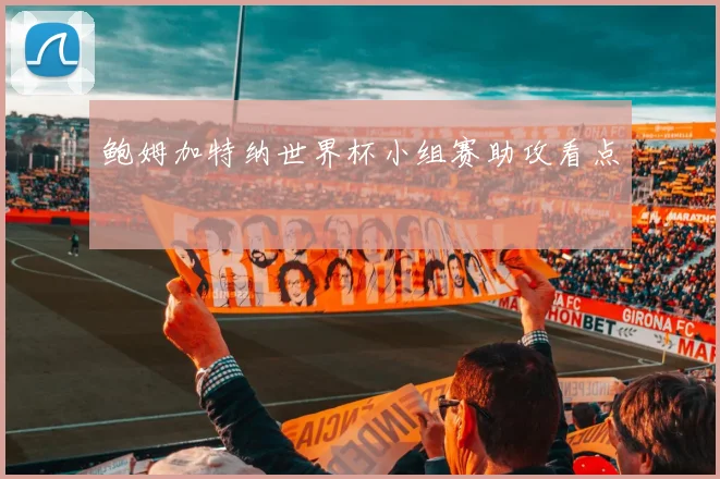 鲍姆加特纳世界杯小组赛助攻看点