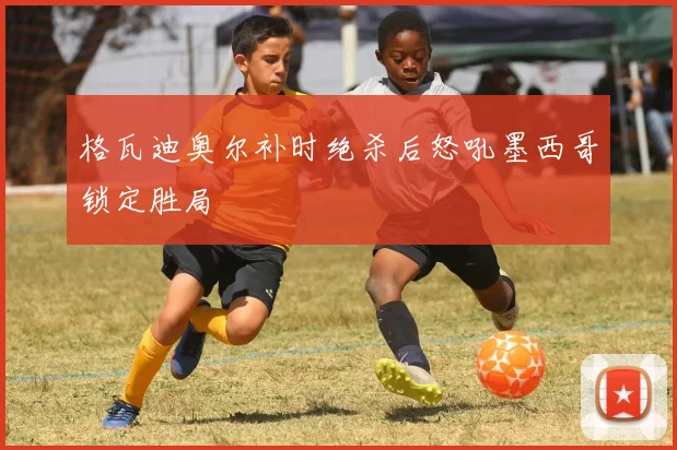 格瓦迪奥尔补时绝杀后怒吼墨西哥锁定胜局