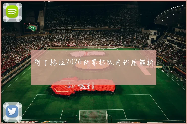 阿丁格拉2026世界杯队内作用解析
