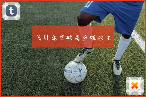 戈贝尔空砍高分难救主