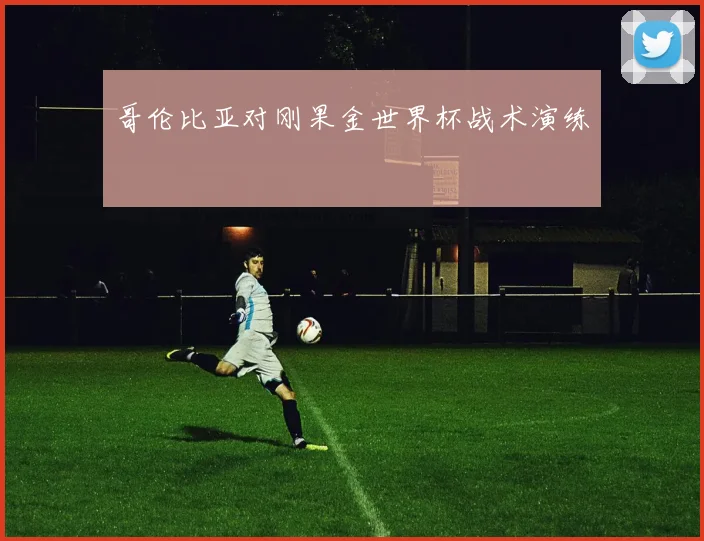 哥伦比亚对刚果金世界杯战术演练