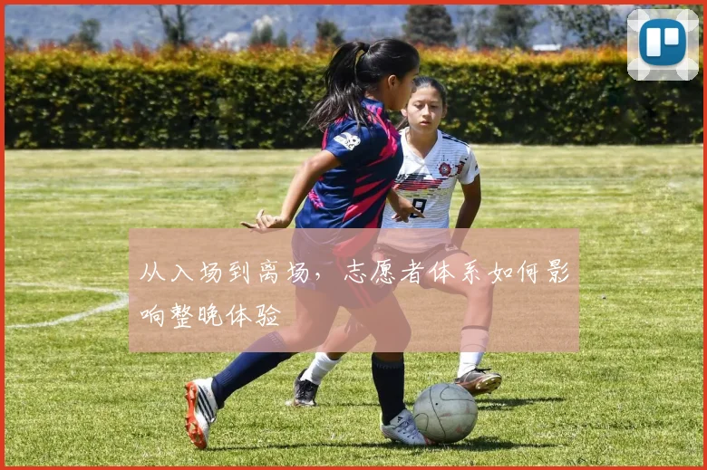 从入场到离场，志愿者体系如何影响整晚体验